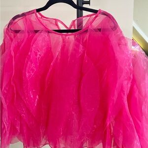 Vibrant Pink Sheer Ruffled Top